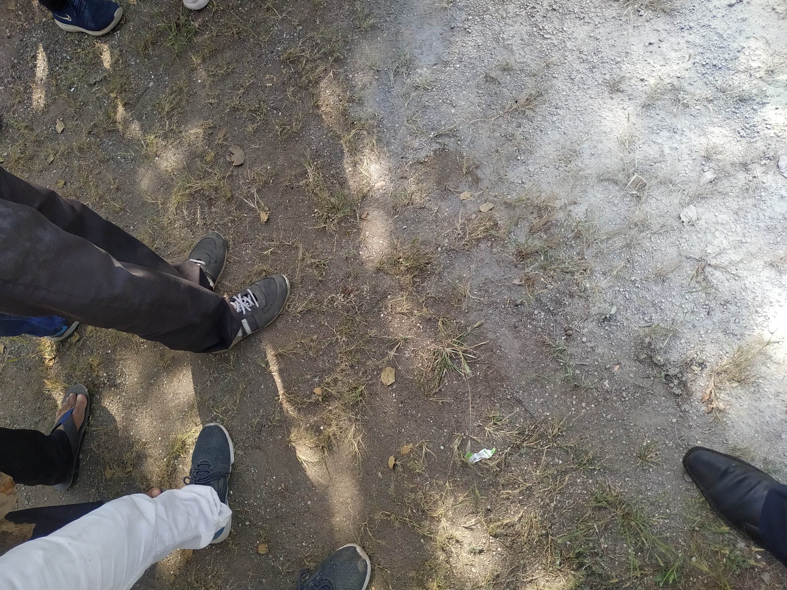 IMG_20211029_132133.jpg